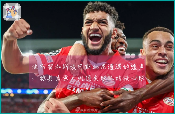法布雷加斯谈巴斯托尼遭遇的嘘声，称其为意大利顶尖球队的核心球员