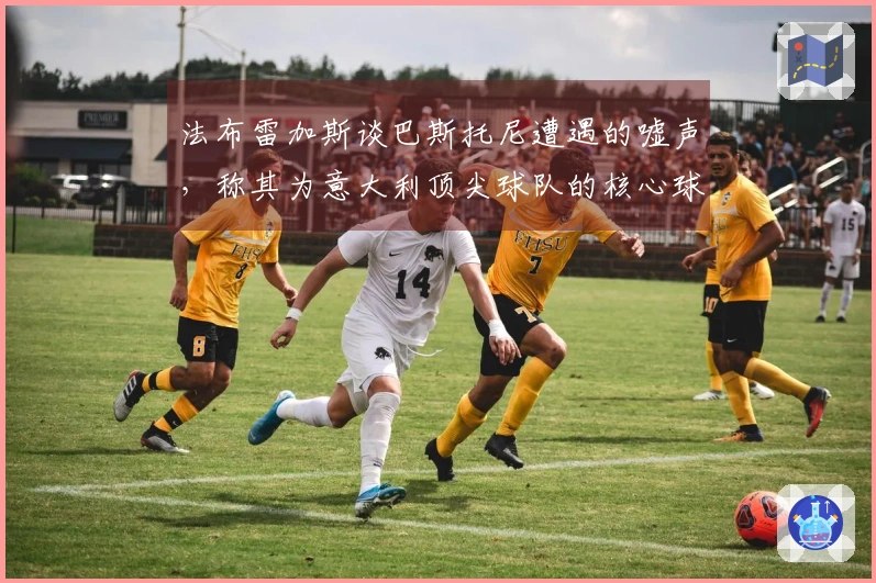 法布雷加斯谈巴斯托尼遭遇的嘘声，称其为意大利顶尖球队的核心球员